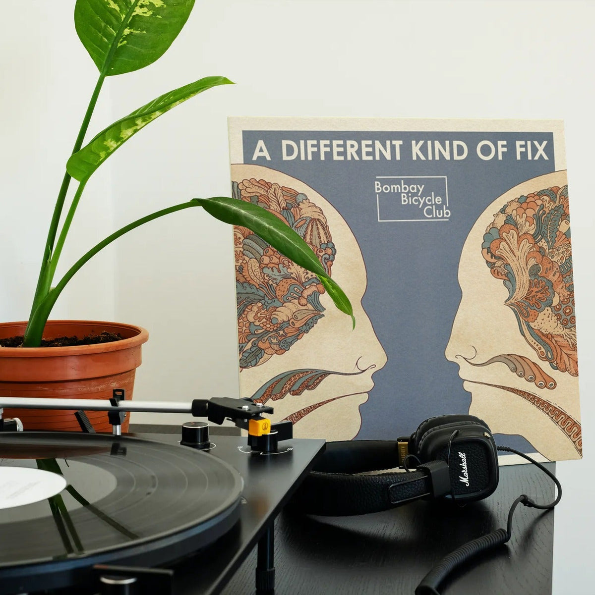 Bombay Bicycle Club - A Different Kind of Fix - 【Vinyl LP 】