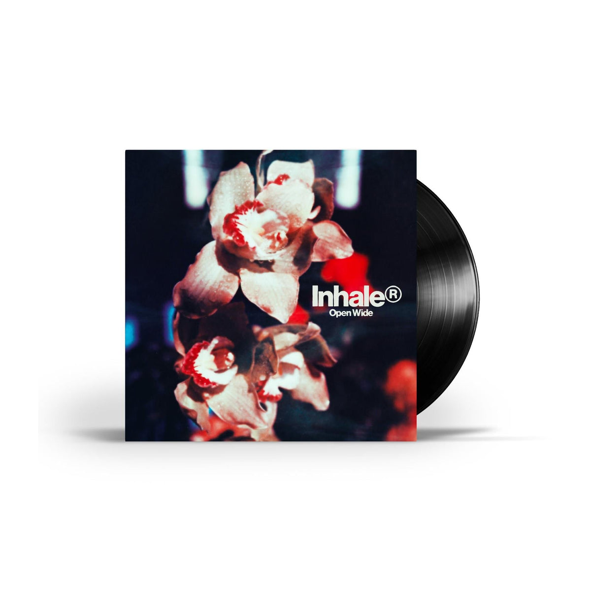 Inhaler – Open Wide - Clear 【Vinyl LP 】