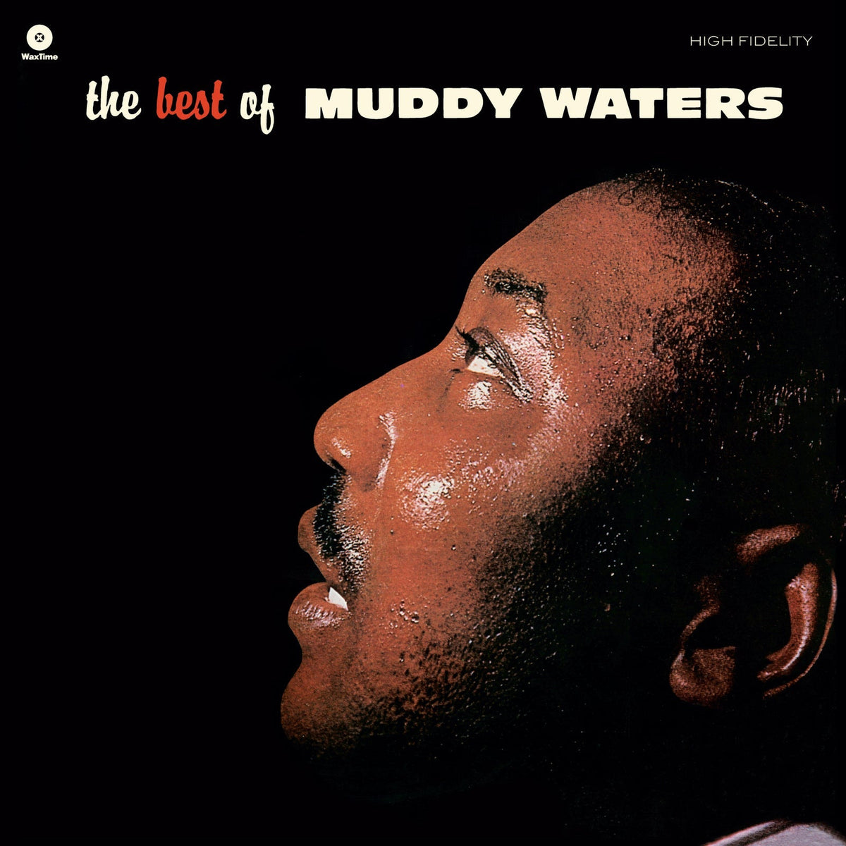 Muddy Waters - The Best Of Muddy Waters -