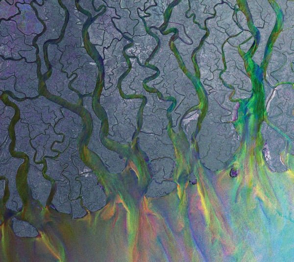 Alt-J - An Awesome Wave - Fern Green (Vinyl LP)