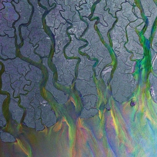 Alt-J - An Awesome Wave - (Vinyl LP)