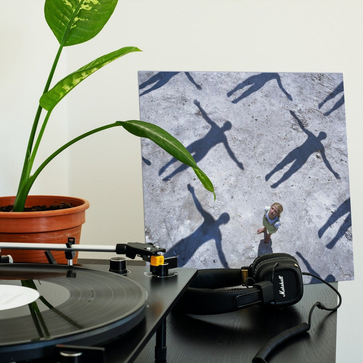 Muse - Absolution - 【Vinyl LP 】