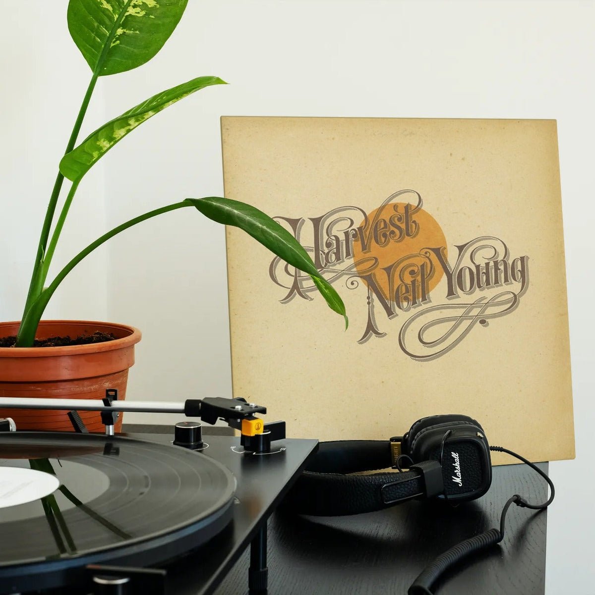 Neil Young - Harvest -
