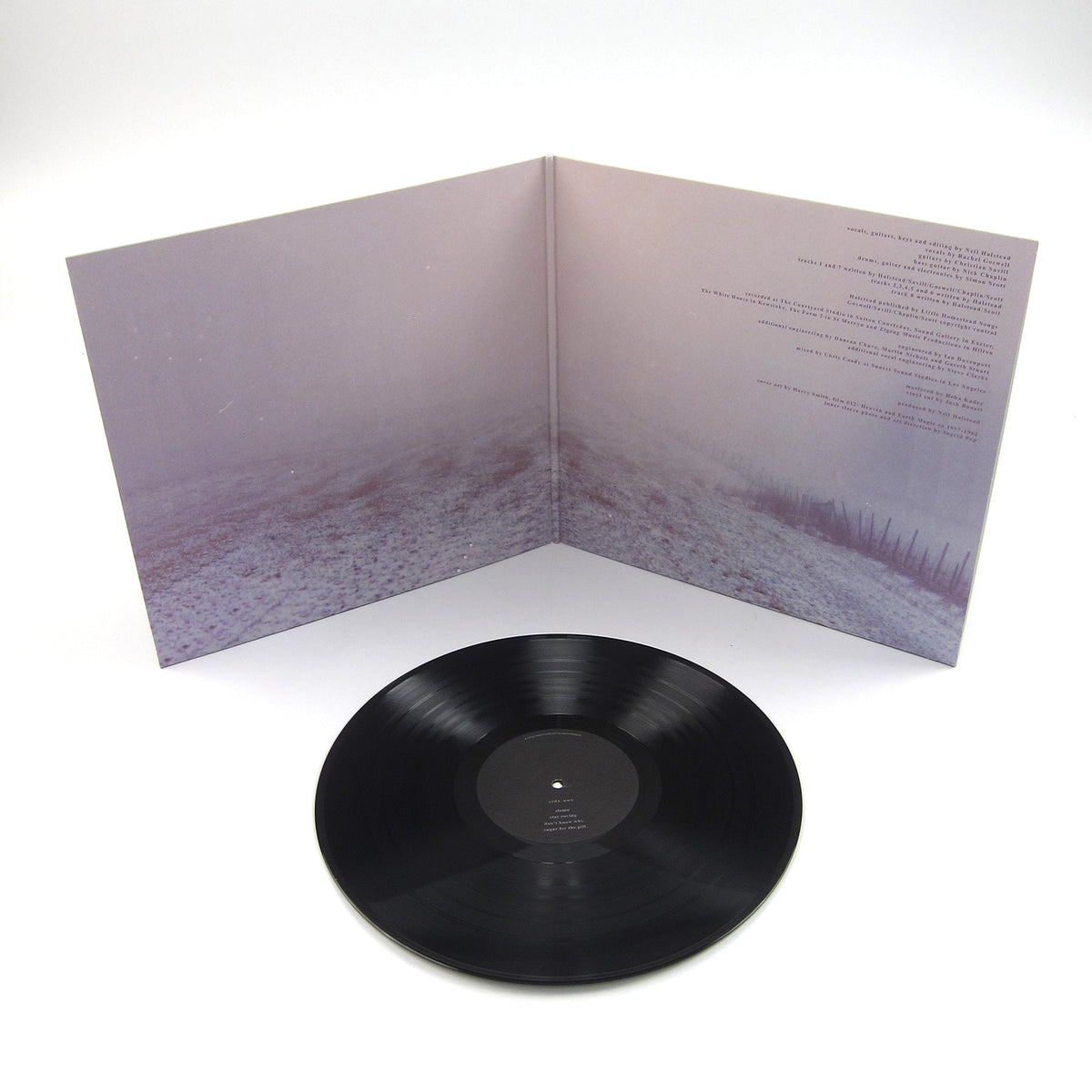 Slowdive: Slowdive {Vinyl LP}