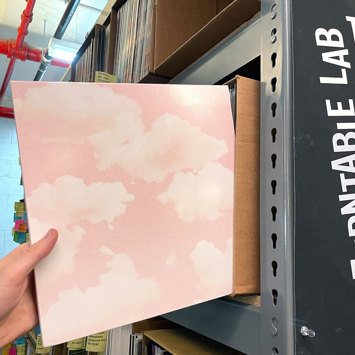 Turnstile: Glow On {Vinyl LP}