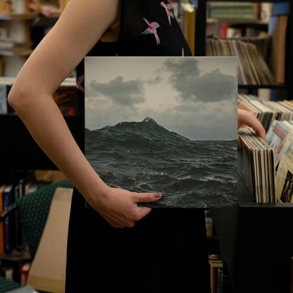 Volcano Choir - Repave - 【Vinyl LP 】