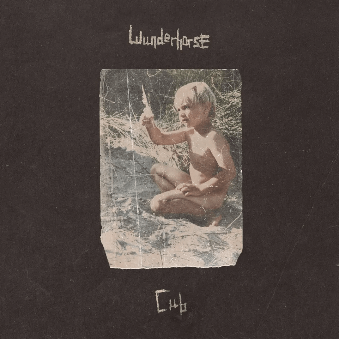 Wunderhorse - Cub - 【Vinyl LP 】